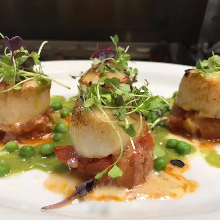 Gourmet scallops garnished with microgreens and sauce on a white plate.